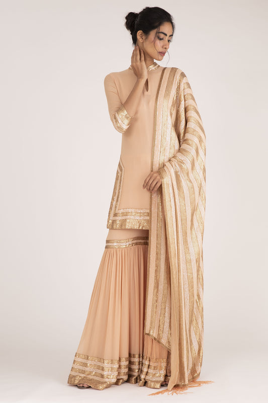 Gharara Set in Striped Sequin Embroidery