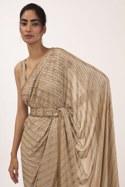 Sari Set in Sequin Embroidery