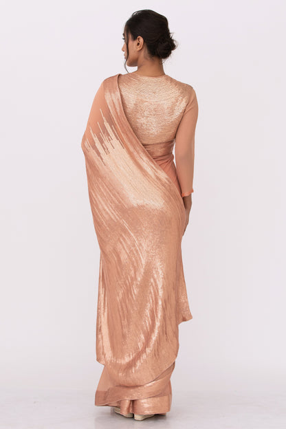 Sari Set in Metallic Sequin Embroidery