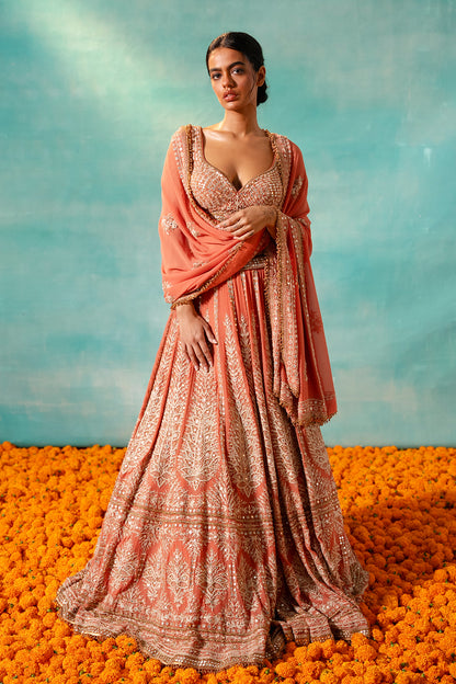 Lehenga Set with Thread & Mirror Embroidery