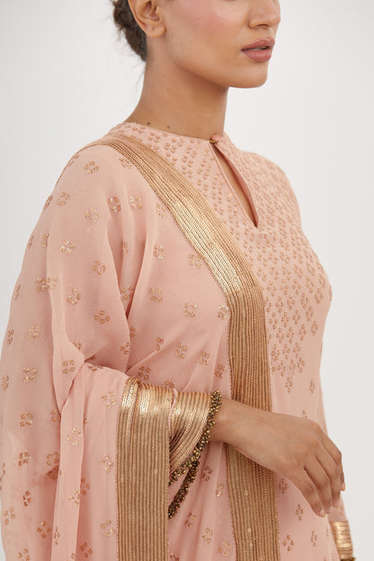 Kurta Set in Bandini Motif Sequin Embroidery
