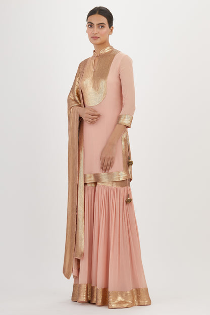Gharara Set in sheeted Gold Sequin Embroidery