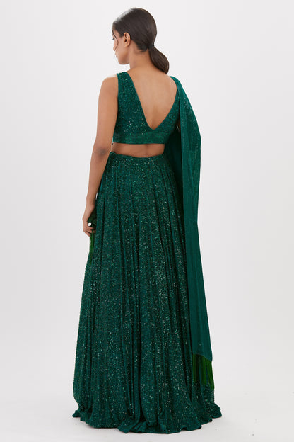 Lehenga Set in all over Line Sequin Embroidery