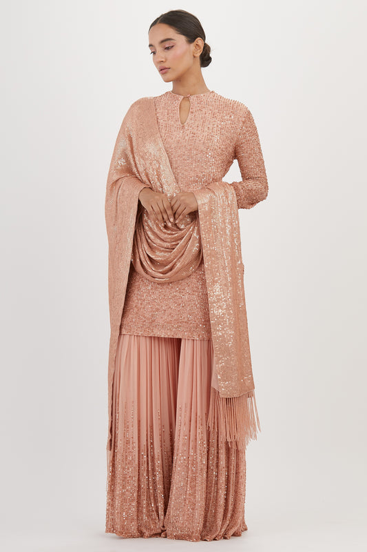 Gharara Set in Line Sequin Embroidery
