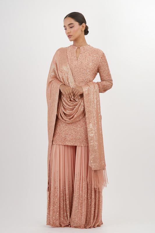 Gharara Set in Line Sequin Embroidery