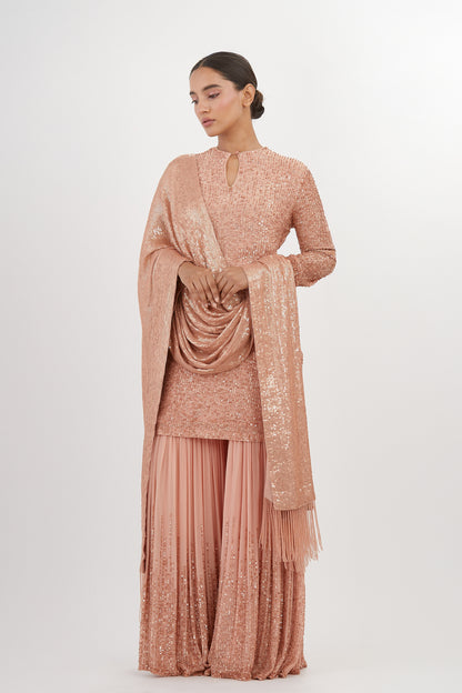 Gharara Set in Line Sequin Embroidery
