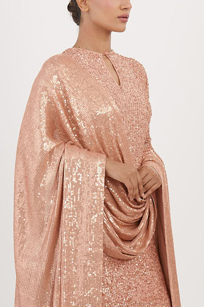 Gharara Set in Line Sequin Embroidery