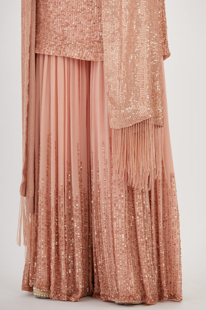 Gharara Set in Line Sequin Embroidery