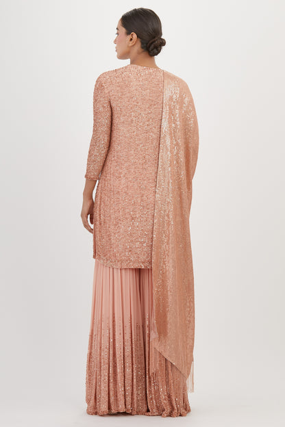 Gharara Set in Line Sequin Embroidery