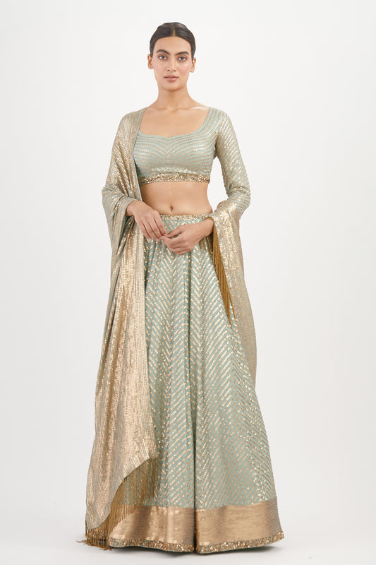 Lehenga Set in Tonal Gold Sequin Embroidery