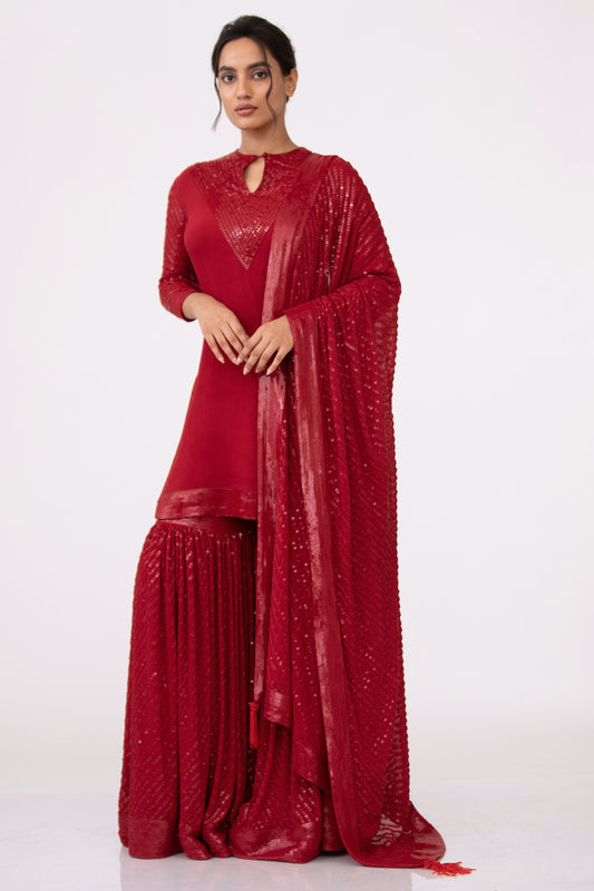 Gharara Set in Tonal Sequin Embroidery