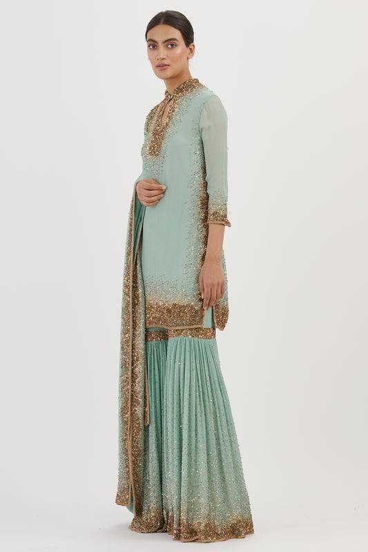 Gharara Set in Gold Sprinkle sequin Embroidery