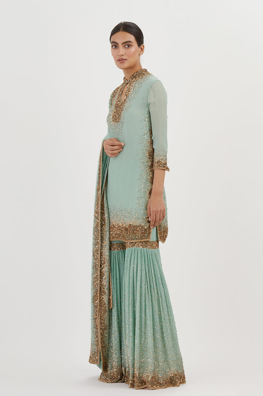 Gharara Set in Gold Sprinkle sequin Embroidery