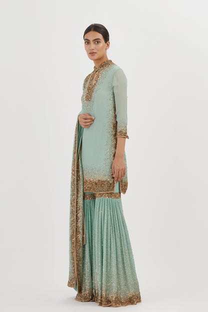 Gharara Set in Gold Sprinkle sequin Embroidery