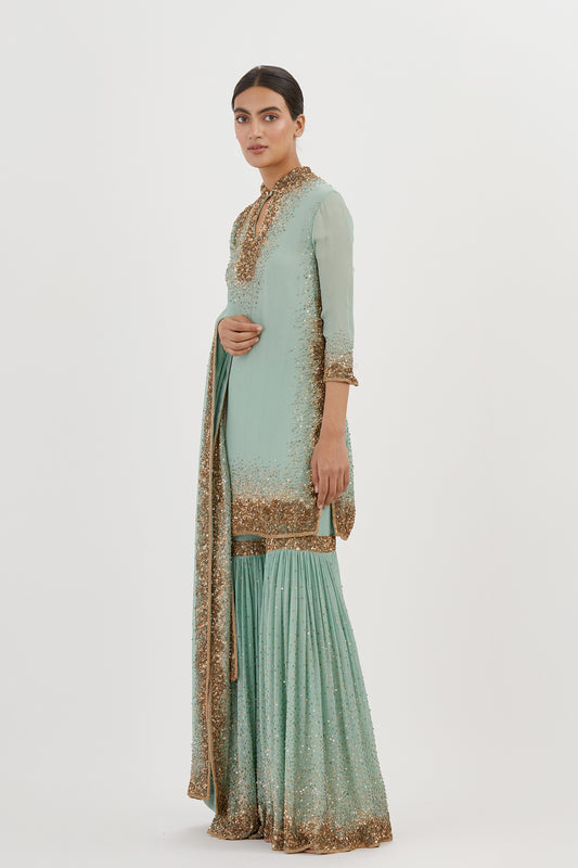 Gharara Set in Gold Sprinkle sequin Embroidery