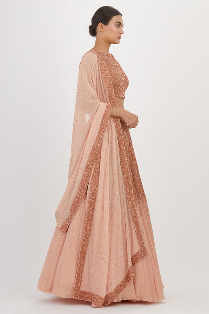 Lehenga Set in Tonal Sequin Embroidery