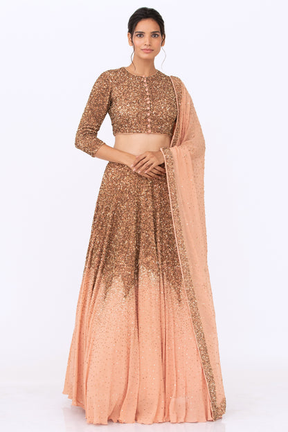 Lehenga Set in  Gold Sequin Embroidery