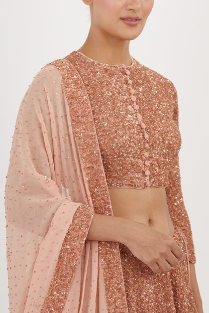 Lehenga Set in Tonal Sequin Embroidery