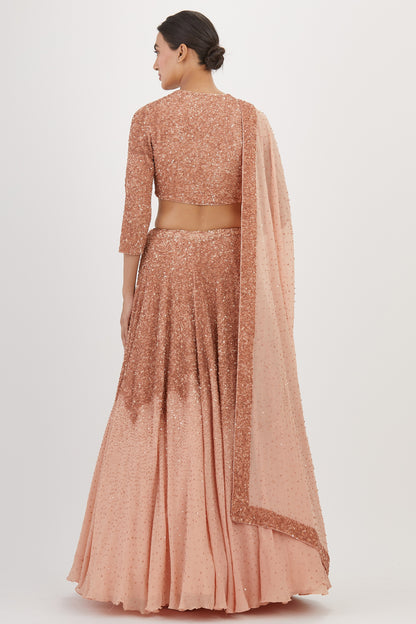 Lehenga Set in Tonal Sequin Embroidery