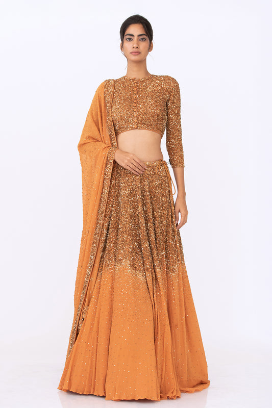 Lehenga Set in Tonal Gold Sequin Embroidery
