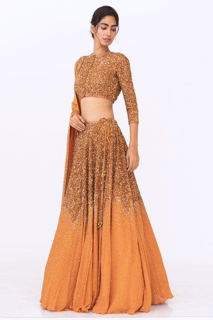 Lehenga Set in Tonal Gold Sequin Embroidery