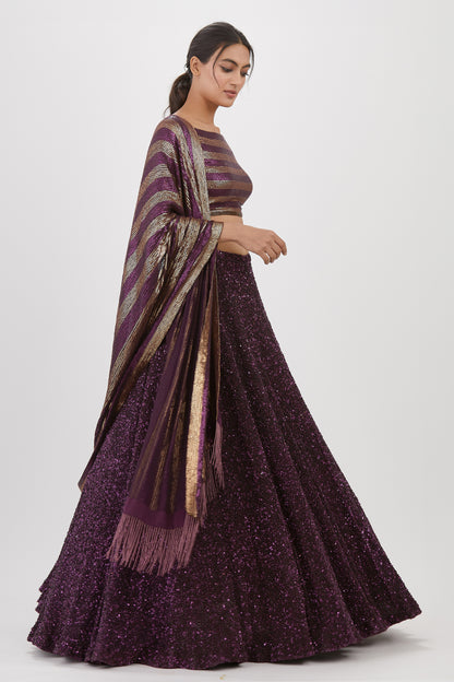Lehenga Set in Tonal Sequin Embroidery