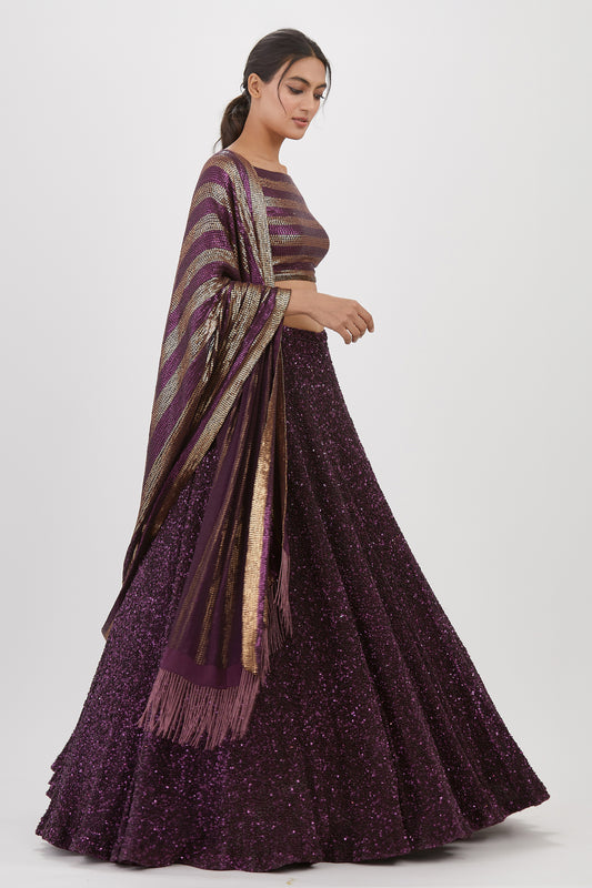 Lehenga Set in Tonal Sequin Embroidery
