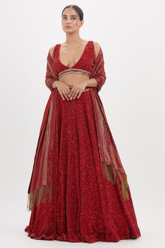 Lehenga Set in Tonal Sequin Embroidery