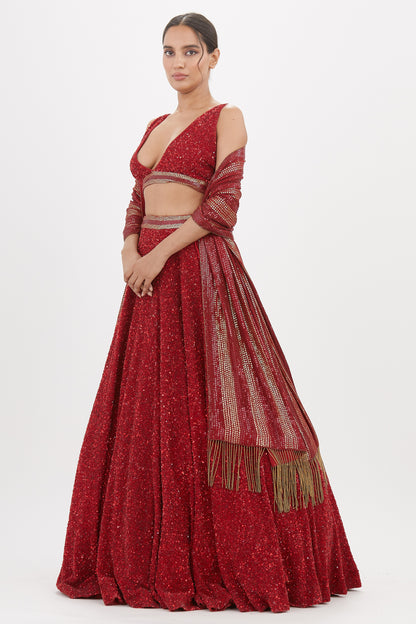 Lehenga Set in Tonal Sequin Embroidery
