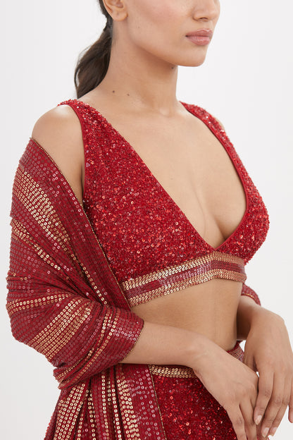 Lehenga Set in Tonal Sequin Embroidery