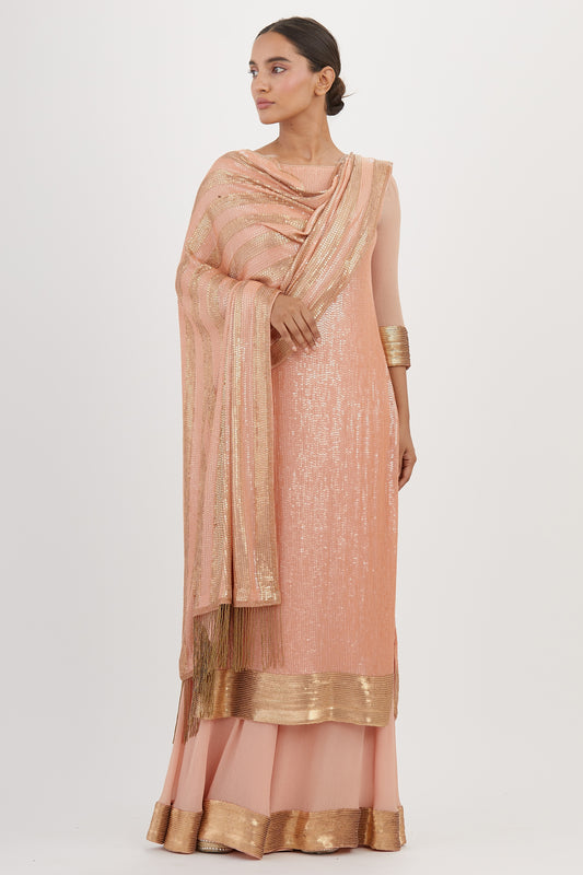 Kurta Set in Sheeted Sequin Embroidery