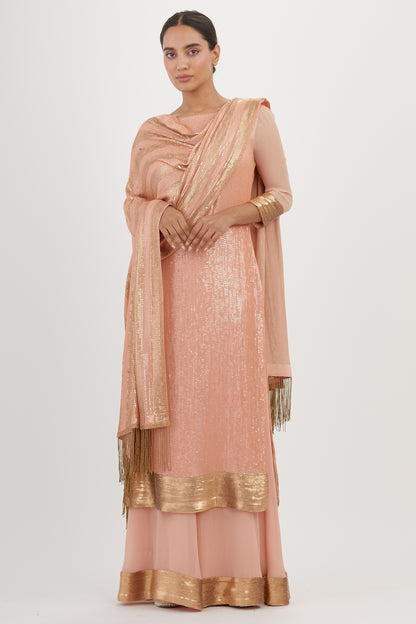 Kurta Set in Sheeted Sequin Embroidery