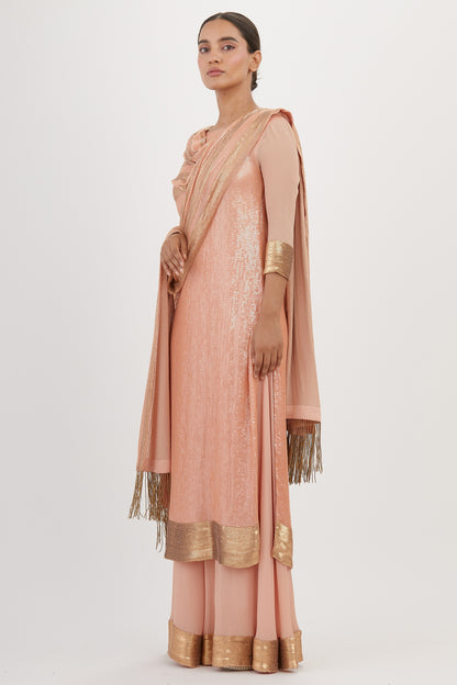 Kurta Set in Sheeted Sequin Embroidery