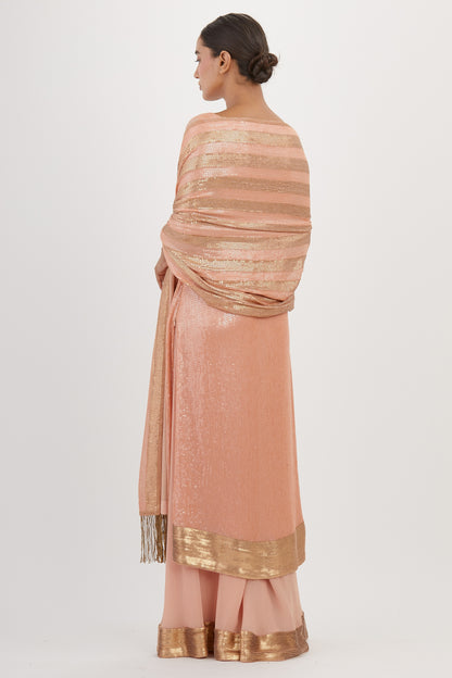 Kurta Set in Sheeted Sequin Embroidery
