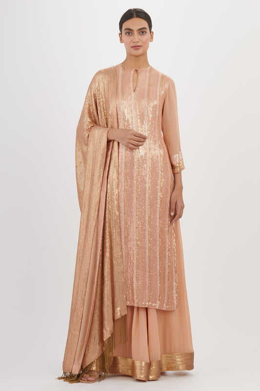 Kurta Set in Sheeted Sequin Embroidery