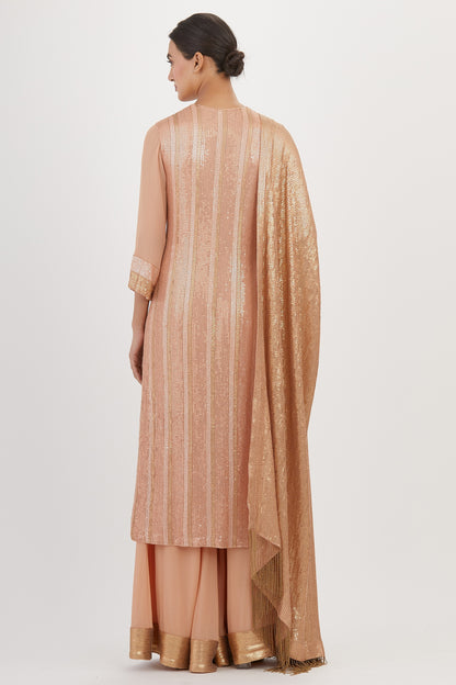 Kurta Set in Sheeted Sequin Embroidery