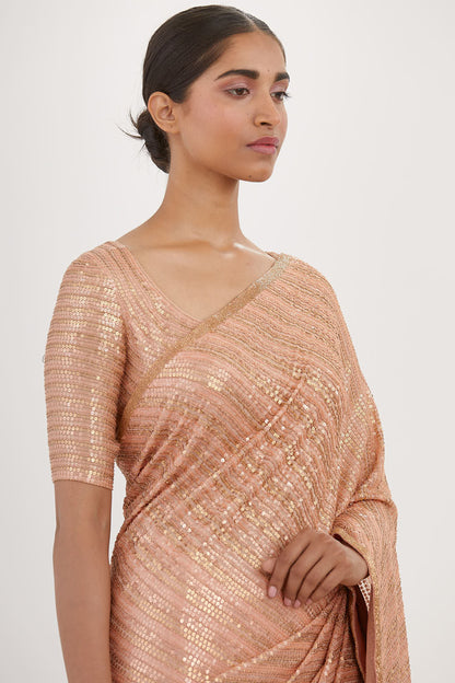 Sari Set in Sequin Embroidery
