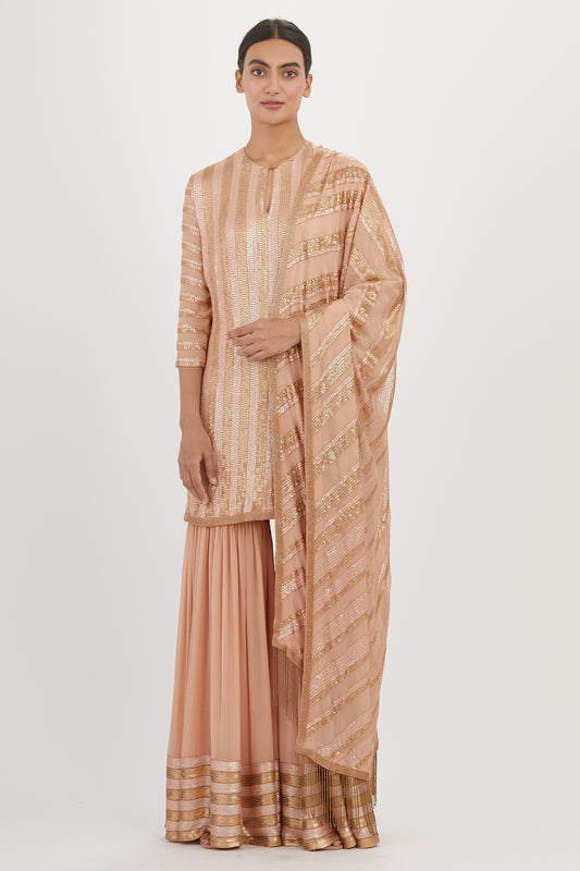 Gharara Set in Striped Sequin Embroidery