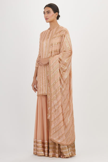 Gharara Set in Striped Sequin Embroidery