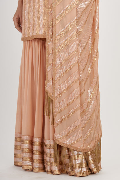 Gharara Set in Striped Sequin Embroidery