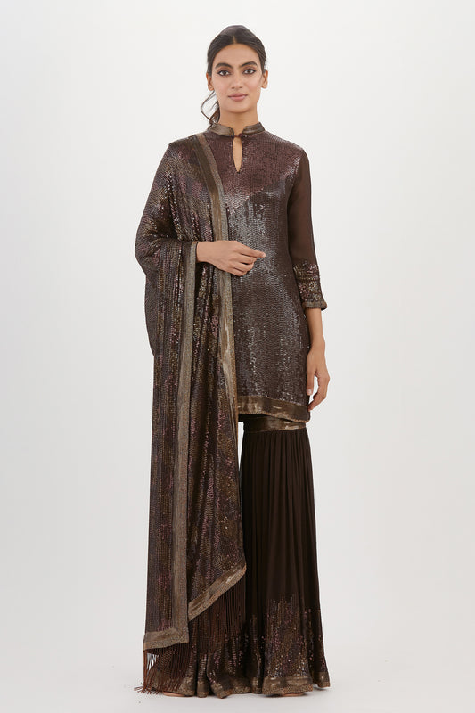 Gharara Set in Metallic Sequin Embroidery