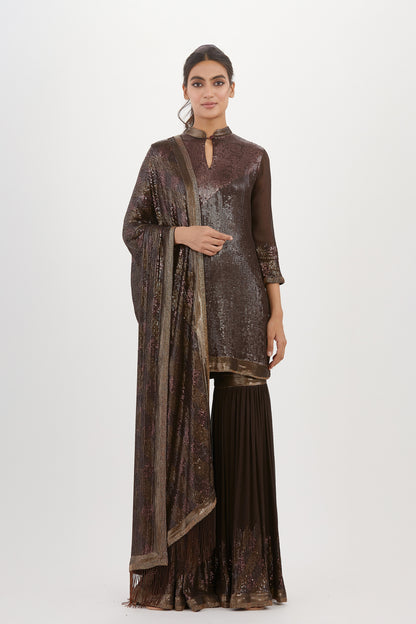Gharara Set in Metallic Sequin Embroidery