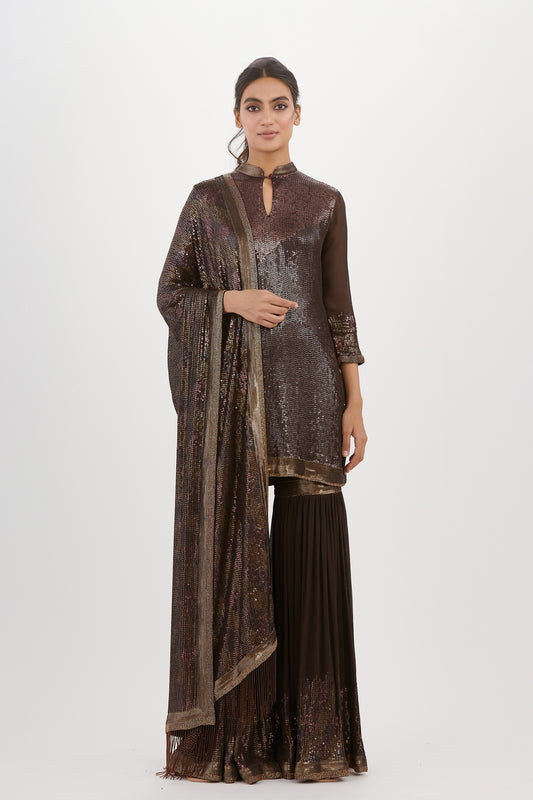 Gharara Set in Metallic Sequin Embroidery