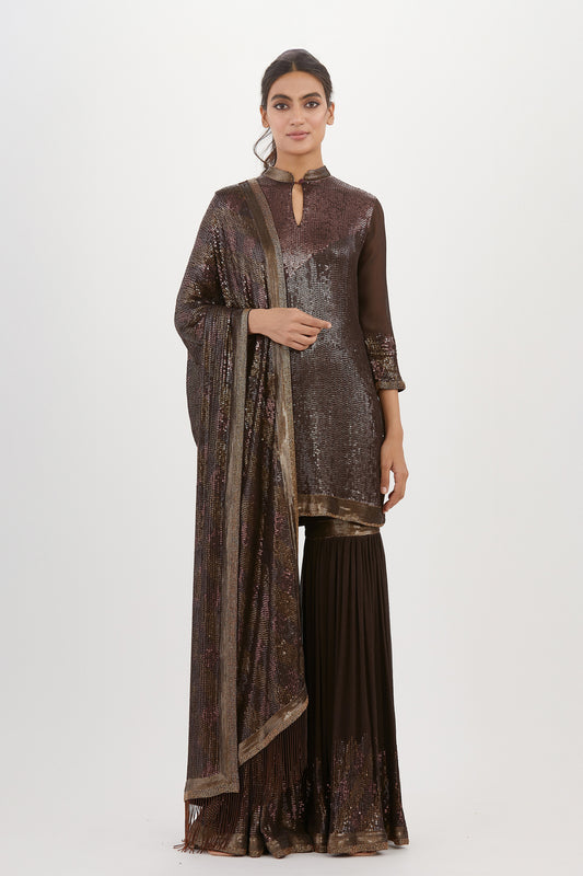 Gharara Set in Metallic Sequin Embroidery