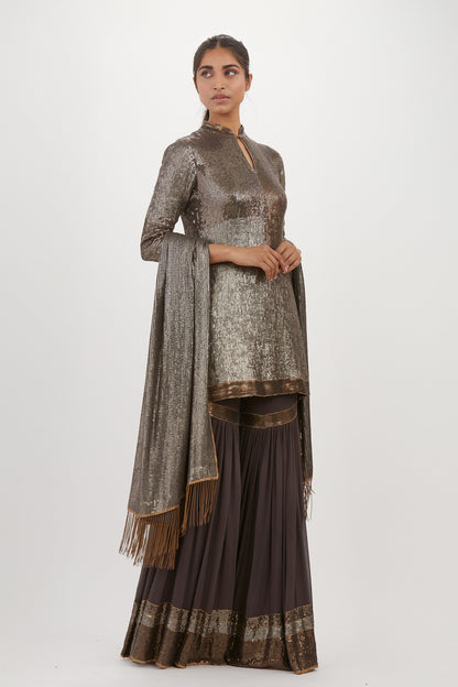 Gharara Set in Metallic Sequin Embroidery