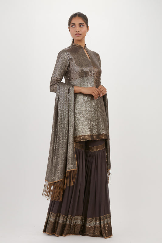 Gharara Set in Metallic Sequin Embroidery