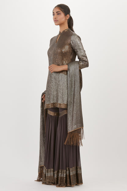 Gharara Set in Metallic Sequin Embroidery