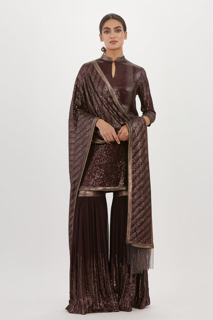 Gharara Set in Metallic Sequin Embroidery
