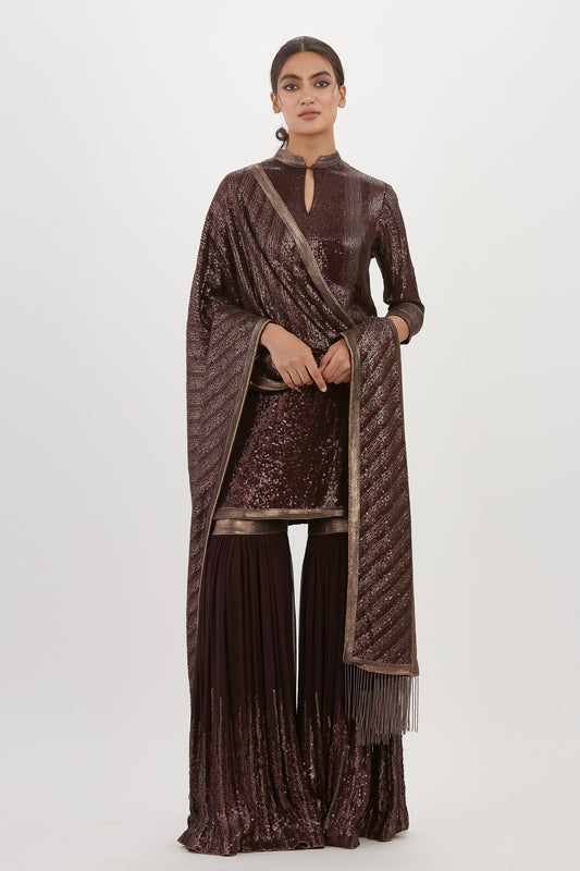 Gharara Set in Metallic Sequin Embroidery