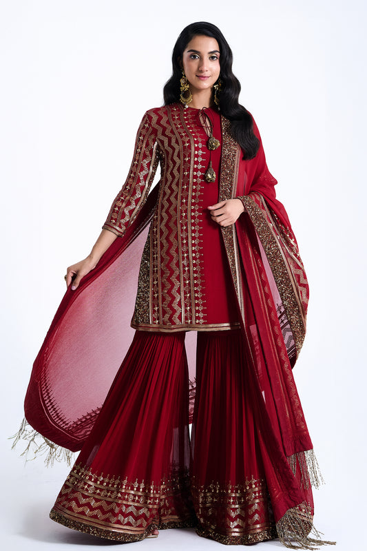 Gharara Set in Sequin Embroidery in Diya Border Design